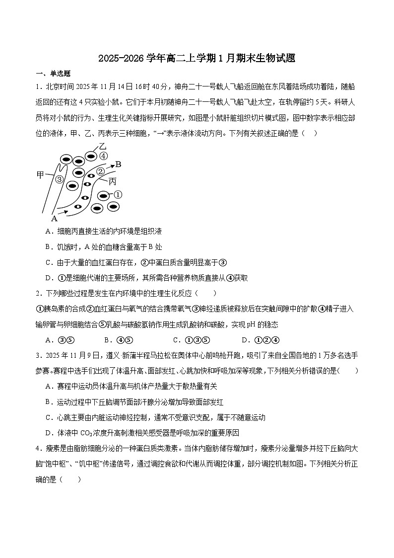 吉林省延边朝鲜族自治州（汉族）高中联谊校2025-2026学年高二上学期期末考试生物试卷（Word版附解析）第1页