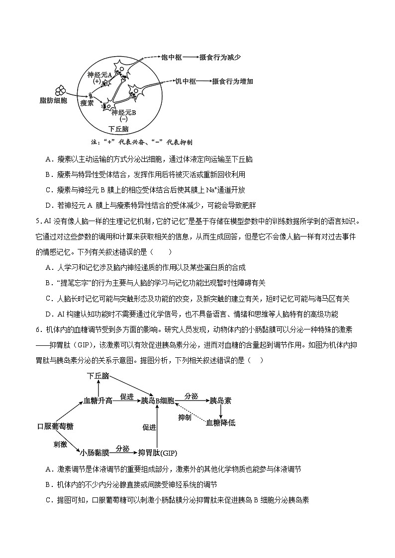 吉林省延边朝鲜族自治州（汉族）高中联谊校2025-2026学年高二上学期期末考试生物试卷（Word版附解析）第2页