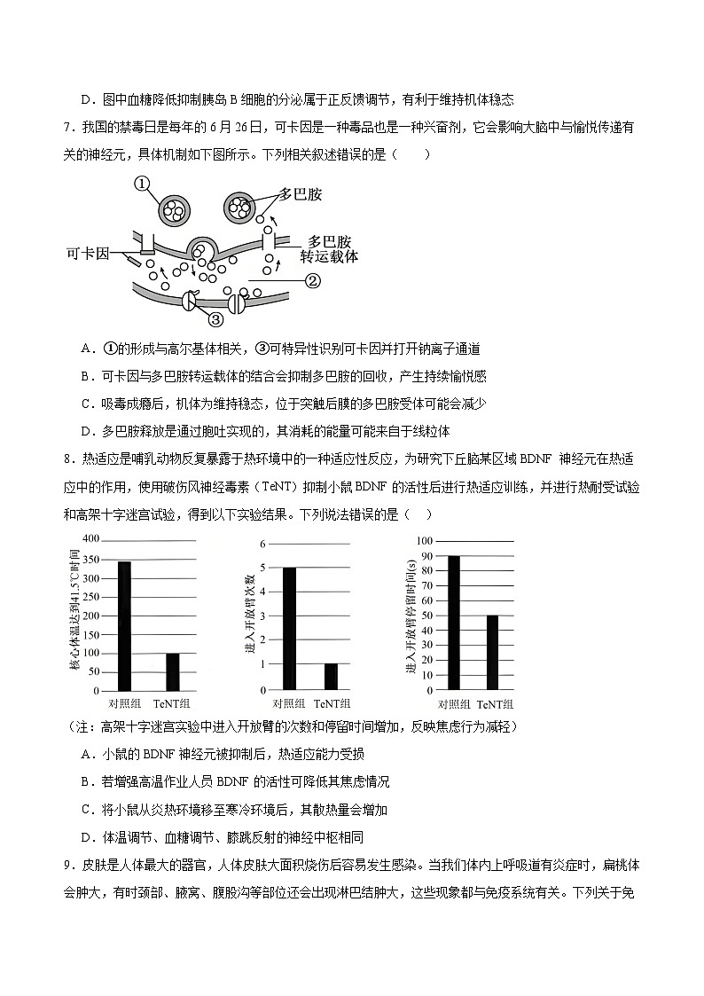 吉林省延边朝鲜族自治州（汉族）高中联谊校2025-2026学年高二上学期期末考试生物试卷（Word版附解析）第3页