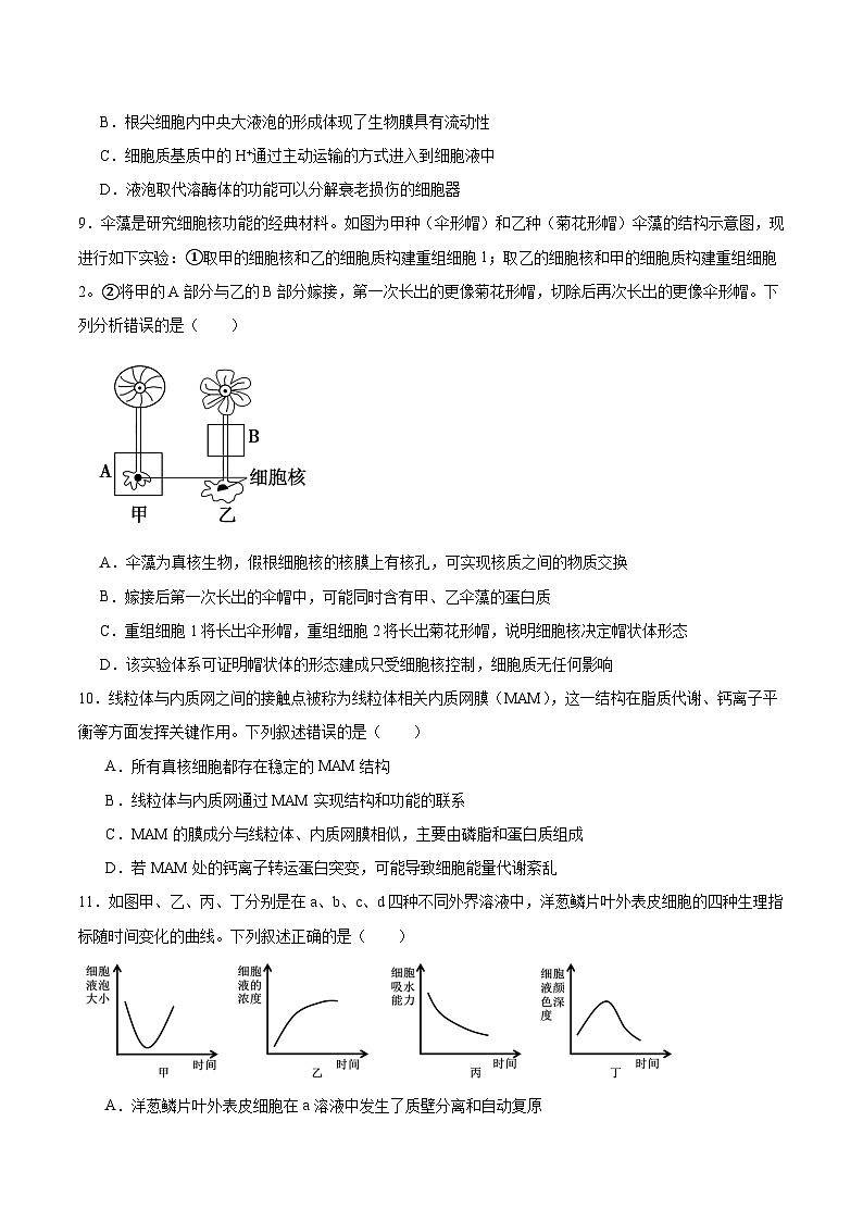 山西省运城市康杰中学2025-2026学年高一上学期12月第二次月考生物试卷（Word版附答案）第3页
