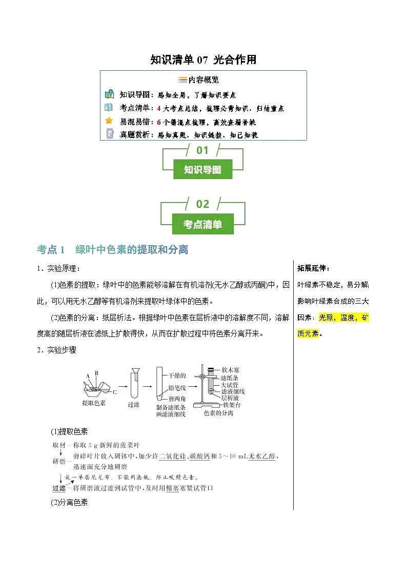 光合作用（4大考点+6个易错点）-高考生物一轮复习知识清单第1页