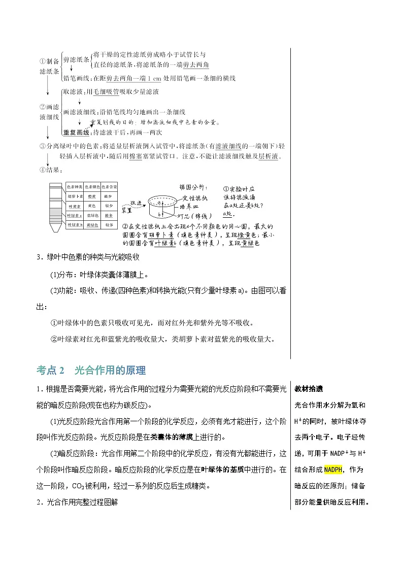 光合作用（4大考点+6个易错点）-高考生物一轮复习知识清单第2页