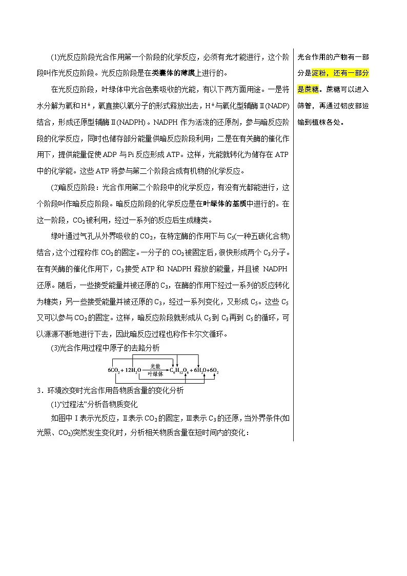 光合作用（4大考点+6个易错点）-高考生物一轮复习知识清单第3页