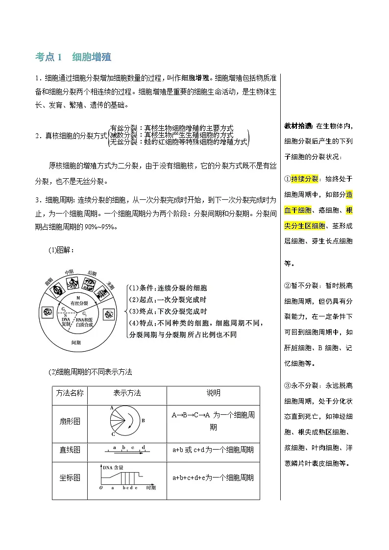 细胞的增殖（4大考点+5个易错点）-高考生物一轮复习知识清单第2页