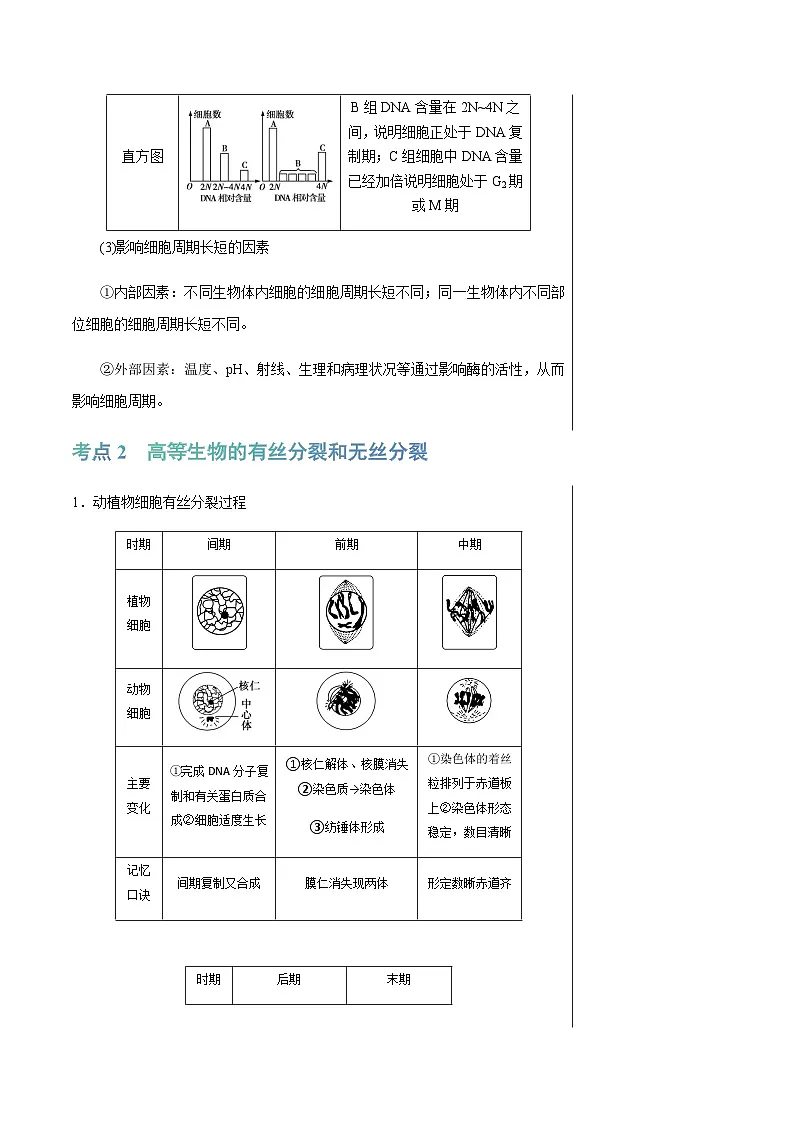 细胞的增殖（4大考点+5个易错点）-高考生物一轮复习知识清单第3页