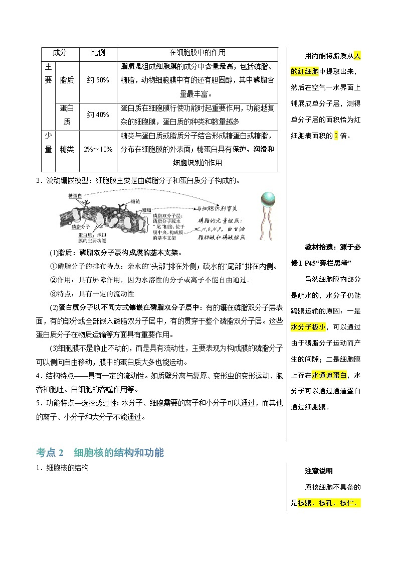 细胞的基本结构（4大考点+8个易错点）-高考生物一轮复习知识清单第2页