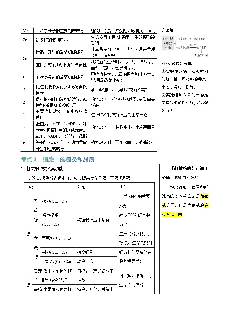 组成细胞的分子（6大考点+10个易错点）-高考生物一轮复习知识清单第3页