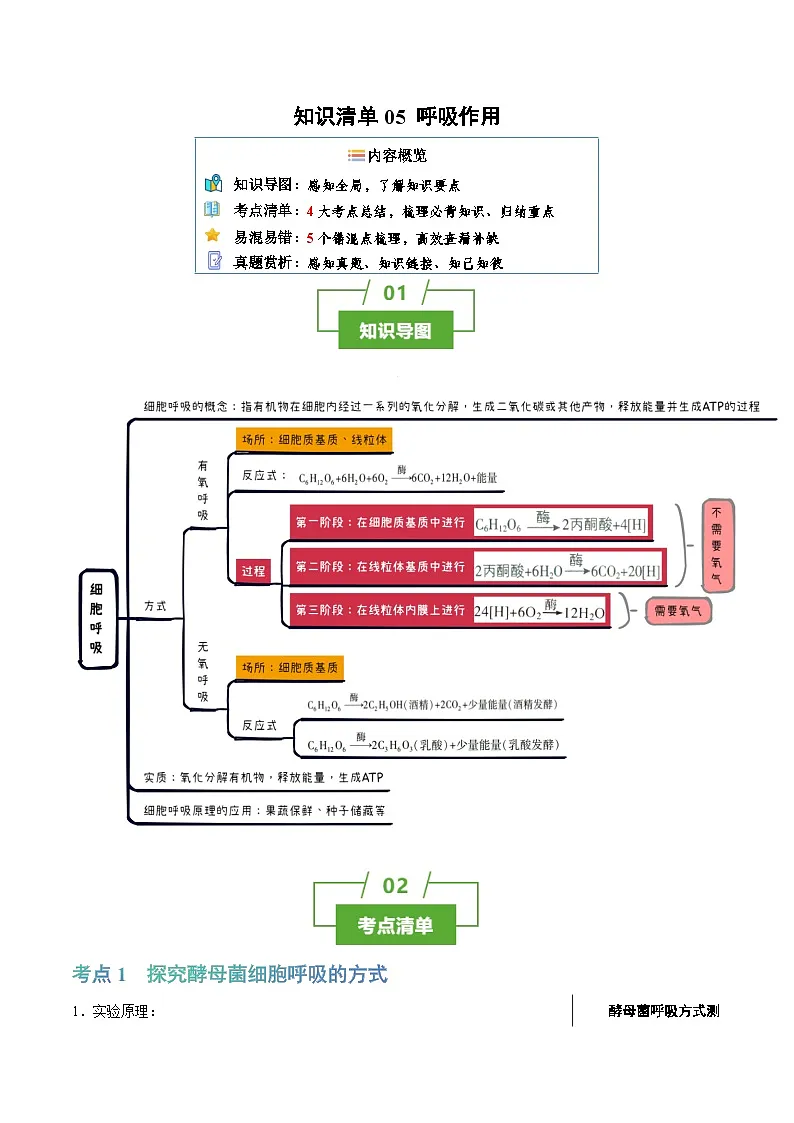 呼吸作用（4大考点+5个易错点）-高考生物一轮复习知识清单第1页