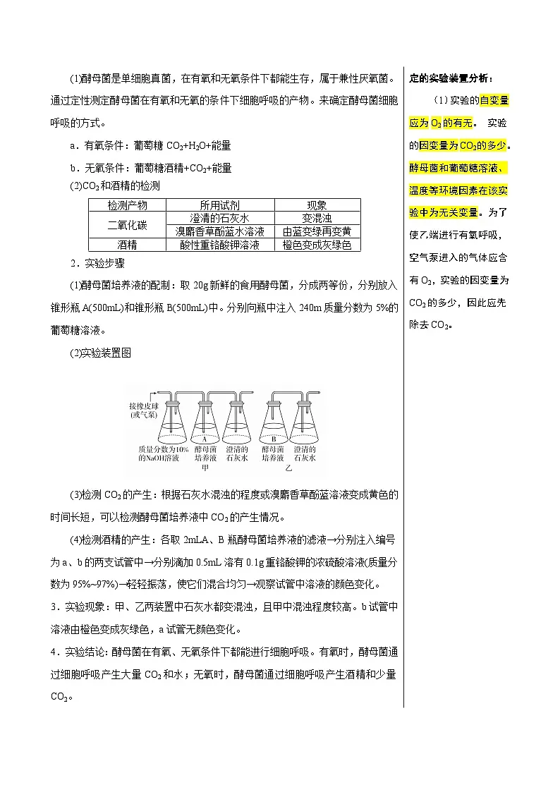呼吸作用（4大考点+5个易错点）-高考生物一轮复习知识清单第2页