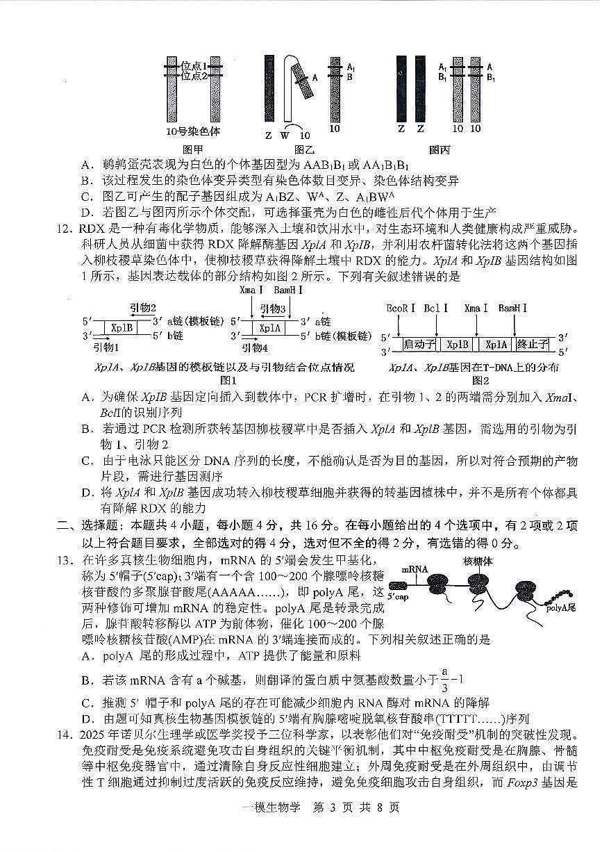 上饶市2026届高三年级第一次高考模拟考试 生物学第3页