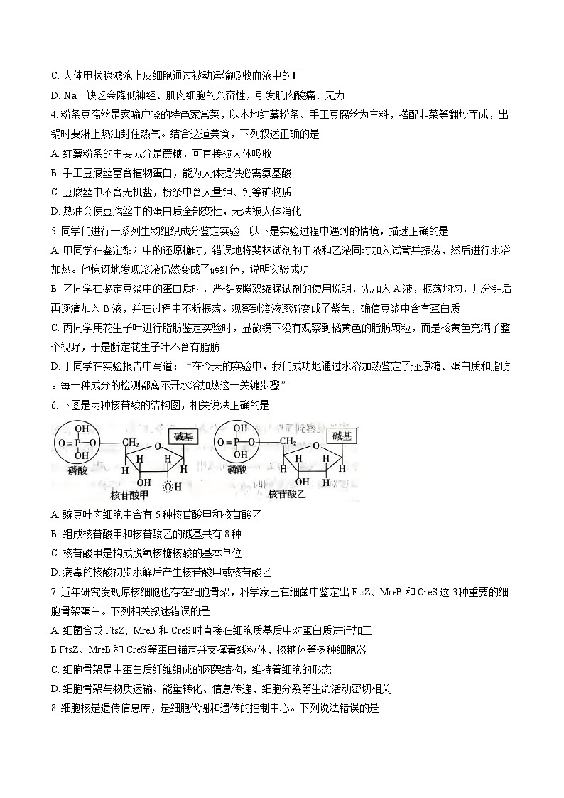 山西省泉阳市2025-2026学年上学期期末高一生物试卷及答案第2页