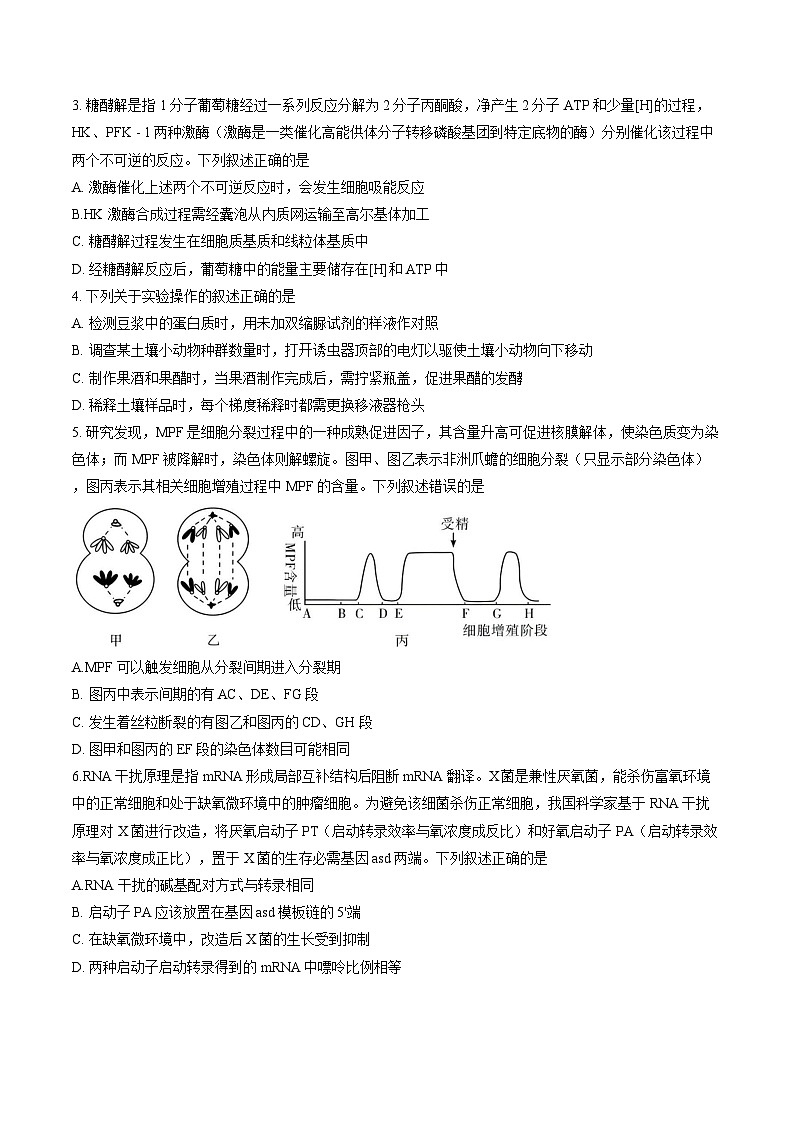 2026年湖南省邵阳市高三一模试卷生物及答案第2页
