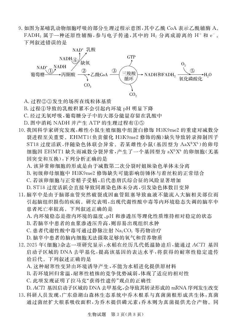 广东省湛江市2026届上学期高三一模 生物试题+答案解析第3页