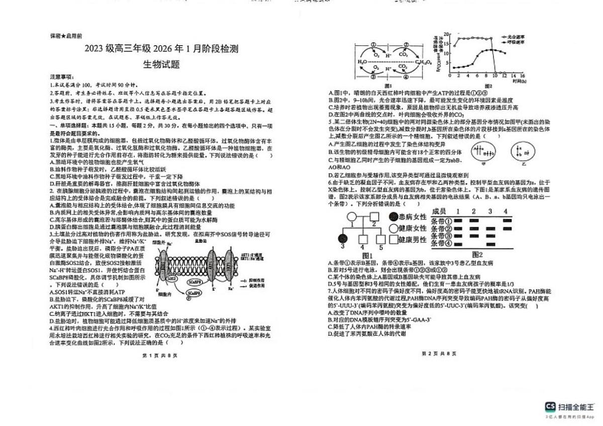 2025-2026学年山东省菏泽市东明县第一中学高三上学期1月月考生物试题（含答案）第1页
