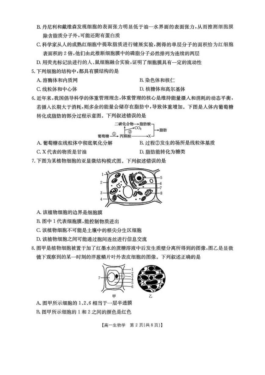 2025-2026学年辽宁省辽阳市高一上学期期末生物试题（含答案）第2页
