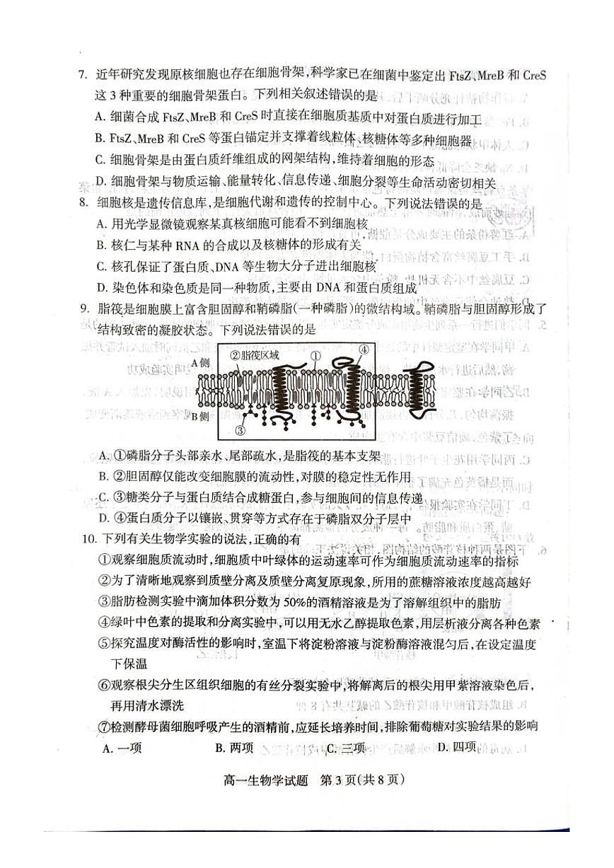 2025-2026学年山西省阳泉市度第一学期期末教学质量监测高一生物试卷试题（含答案）第3页