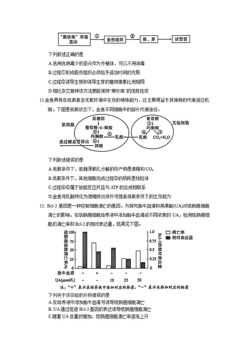 2026届福建省七市高中高三上1月毕业班模拟测试生物学试题（含答案）第3页