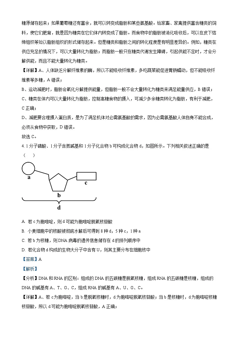 山西省晋中市2024-2025学年高一上学期期末调研测试生物试卷 含解析第3页