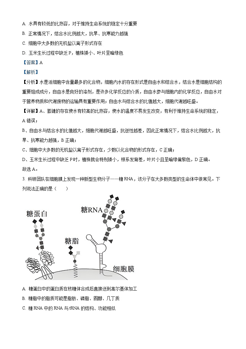 河北省石家庄市2024-2025学年高一上学期期末生物试卷 含解析第2页