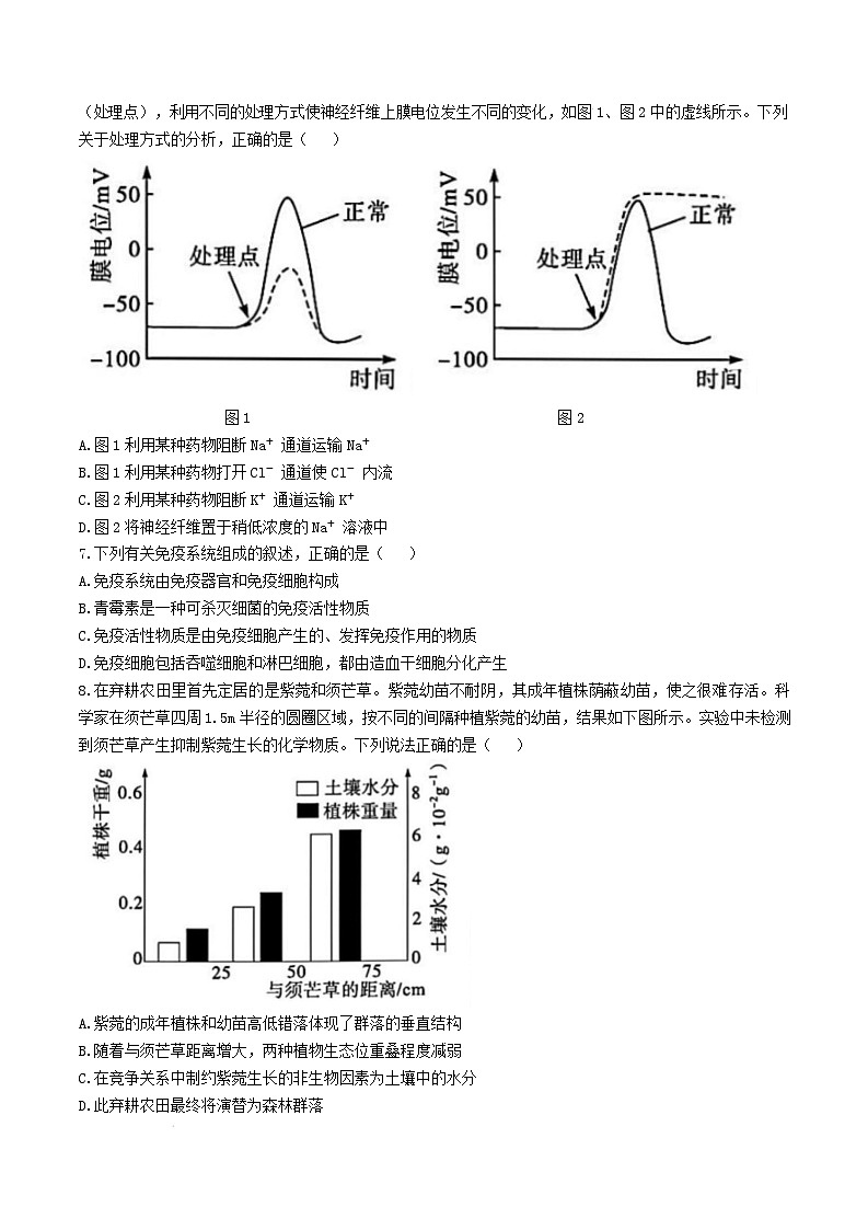 湖南省娄底市部分普通高中2024-2025学年高二上学期1月期末生物试题 含答案第2页