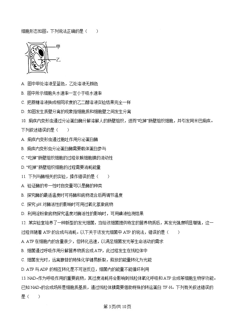 贵州省松桃民族中学2025-2026学年高一上学期期末模拟测试生物试卷（含答案）第3页