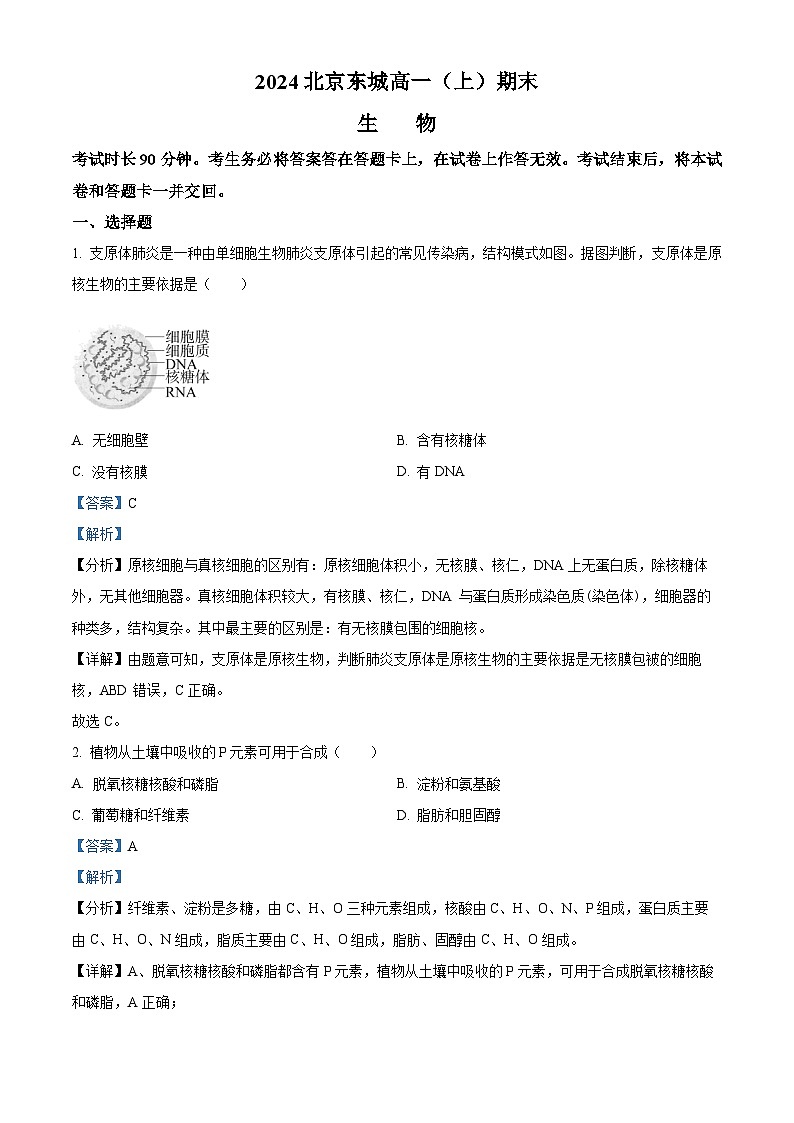 北京市东城区2023-2024学年高一1月期末生物试题 含解析第1页