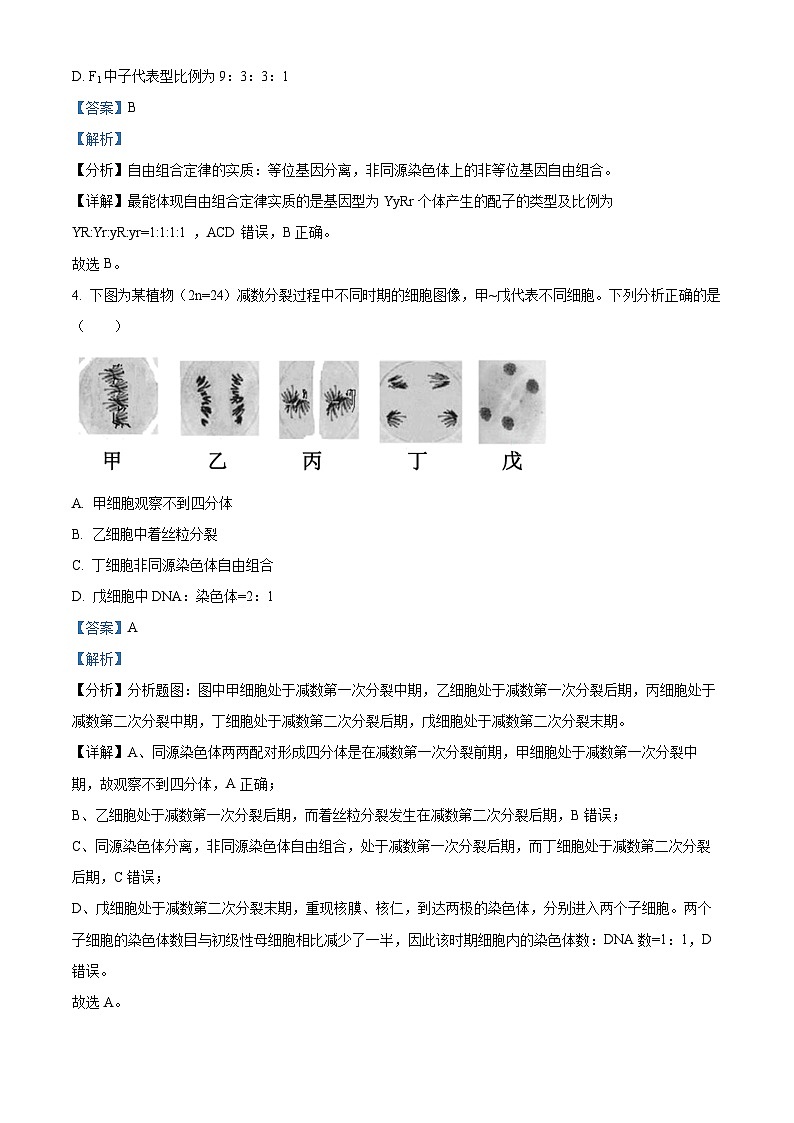 北京市丰台区2023-2024学年高一下学期7月期末考试生物试卷  含解析第3页