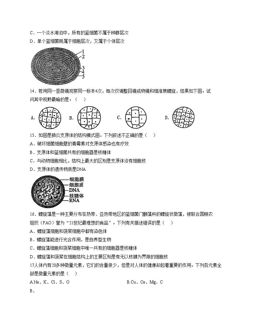 天津市滨海新区大港一中2025_2026学年高一上学期第一次月考生物试卷（文字版，含答案）第3页