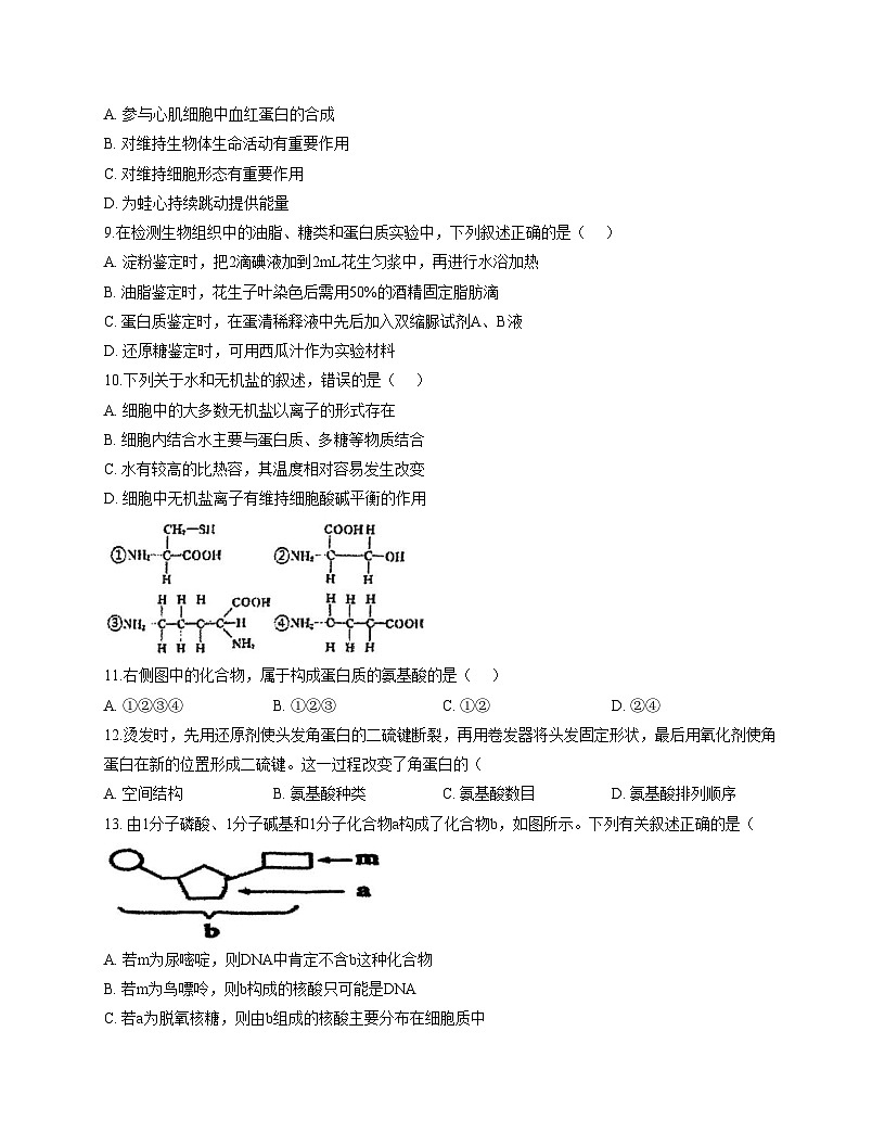 天津市滨海新区十三中2025_2026学年高一上学期第一次月考生物试卷（文字版，含答案）第2页