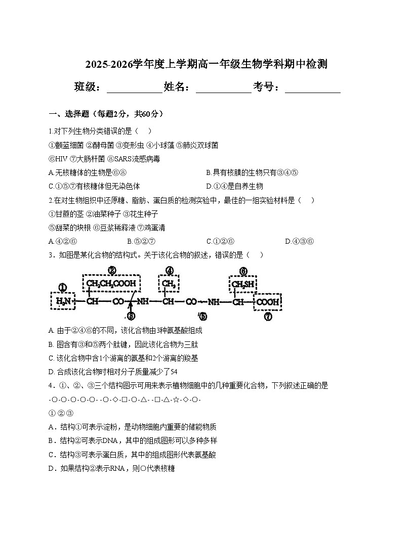 天津市和平区汇文中学2025_2026学年高一上学期期中生物试卷（文字版，含答案）第1页