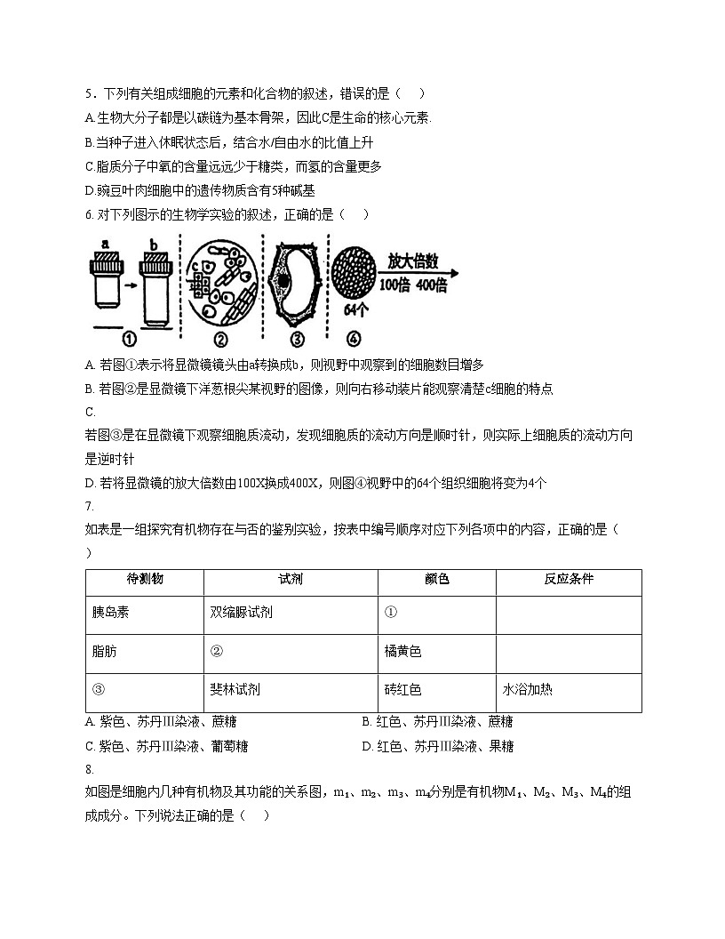 天津市和平区汇文中学2025_2026学年高一上学期期中生物试卷（文字版，含答案）第2页