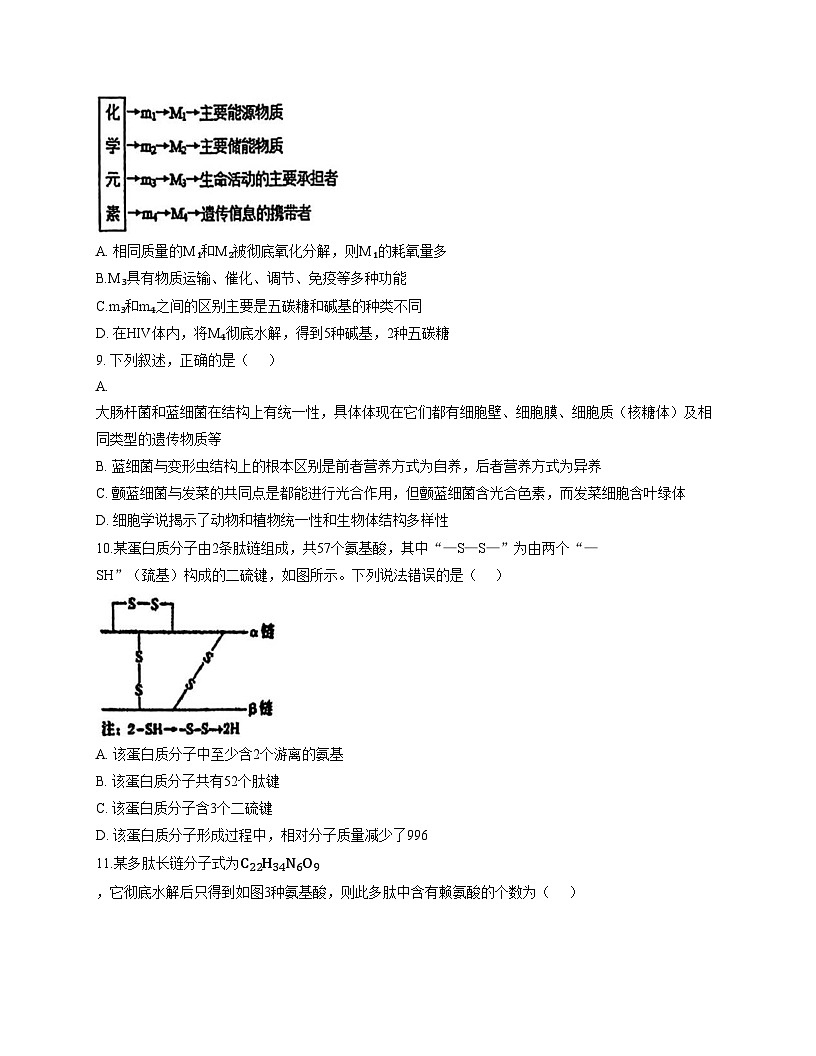 天津市和平区汇文中学2025_2026学年高一上学期期中生物试卷（文字版，含答案）第3页