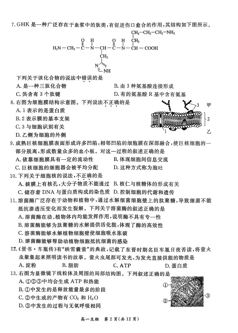 北京市东城区2025-2026学年高一上学期期末生物试卷第2页