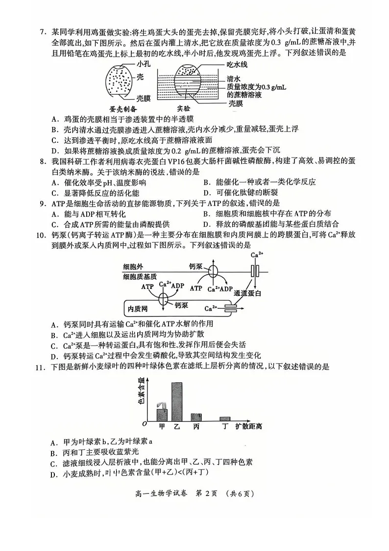 广西壮族自治区桂林市2025-2026学年高一上学期1月期末检测生物试卷第2页
