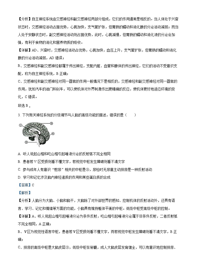 四川省泸州市龙马潭区2024-2025学年高二上学期11月期中生物试题 Word版含解析第2页