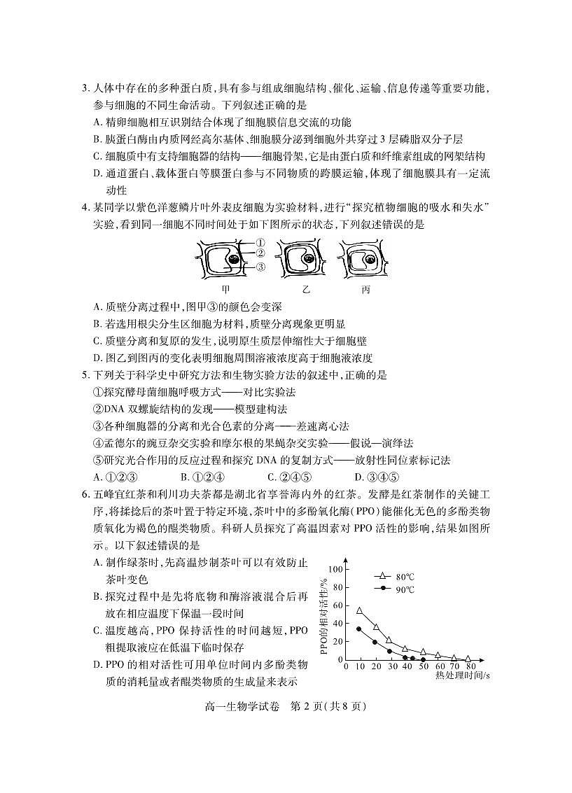湖北省荆州市2024-2025学年高一年级上学期质量检测生物试卷（无答案）第2页
