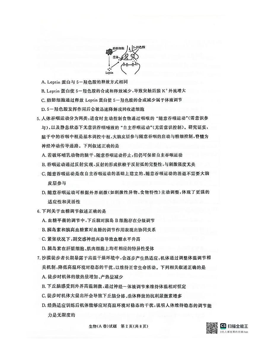 河南省商丘市青桐鸣2025-2026学年高二上学期青桐鸣联考生物试卷（A卷）含答案第2页
