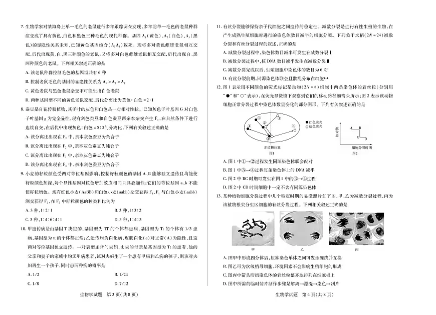 河南省天一大联考2024-2025学年高一上学期阶段性测试（三）生物试卷（无答案）第2页
