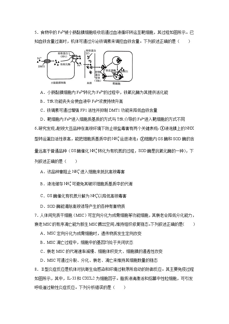 2025-2026学年重庆市高三一模考试生物试卷（无答案）第2页