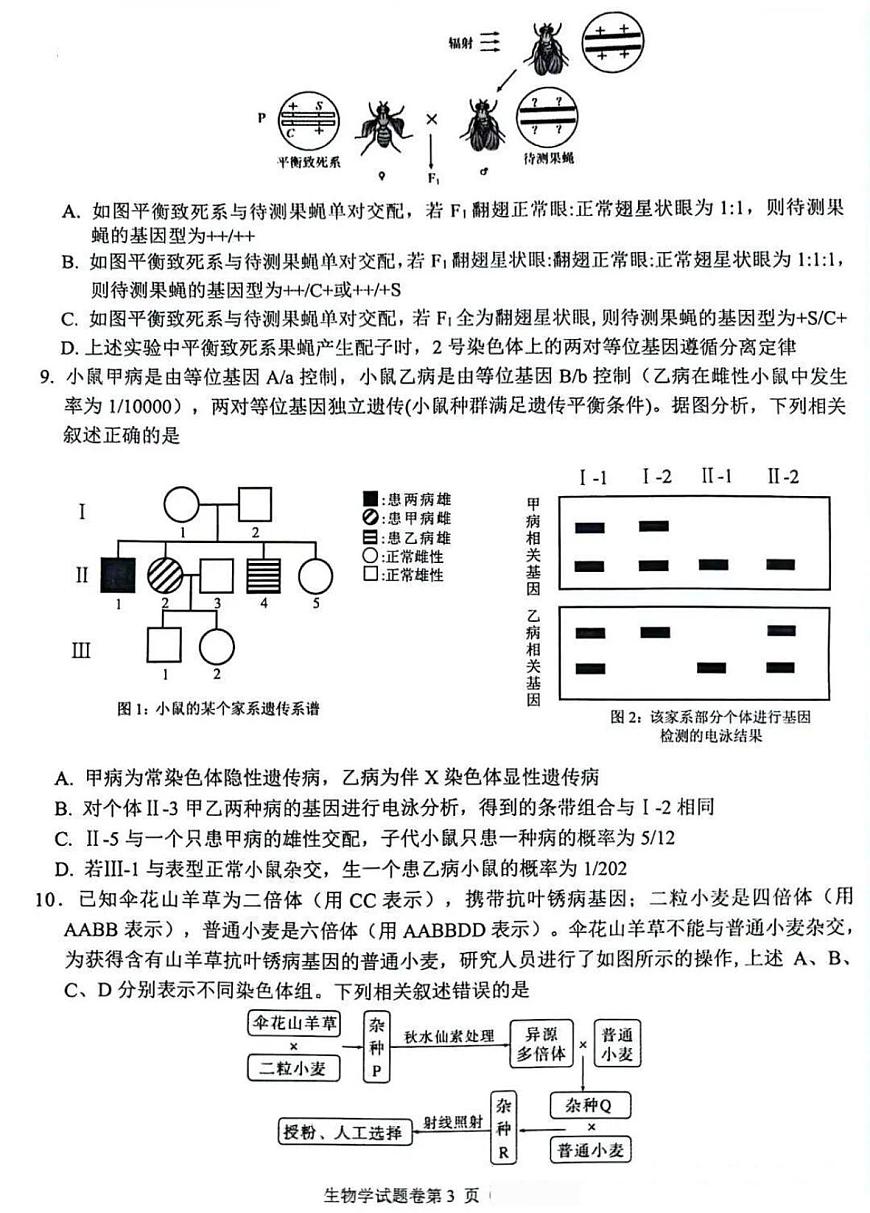 生物-安徽省淮北市2026届高三年级第一次质量检测(淮北高考一模)试题+答案第3页