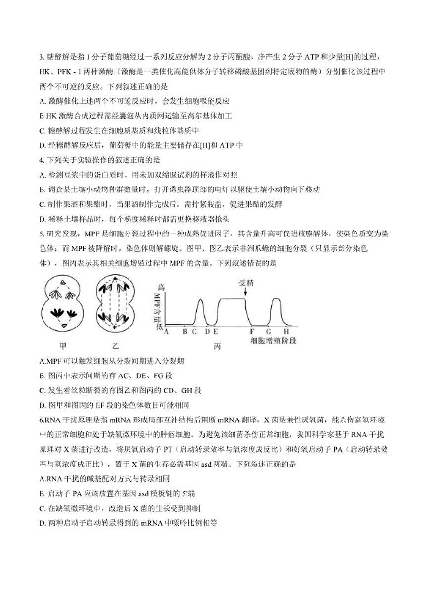 2025-2026学年湖南省邵阳市高三上一模生物试卷（含答案）第2页