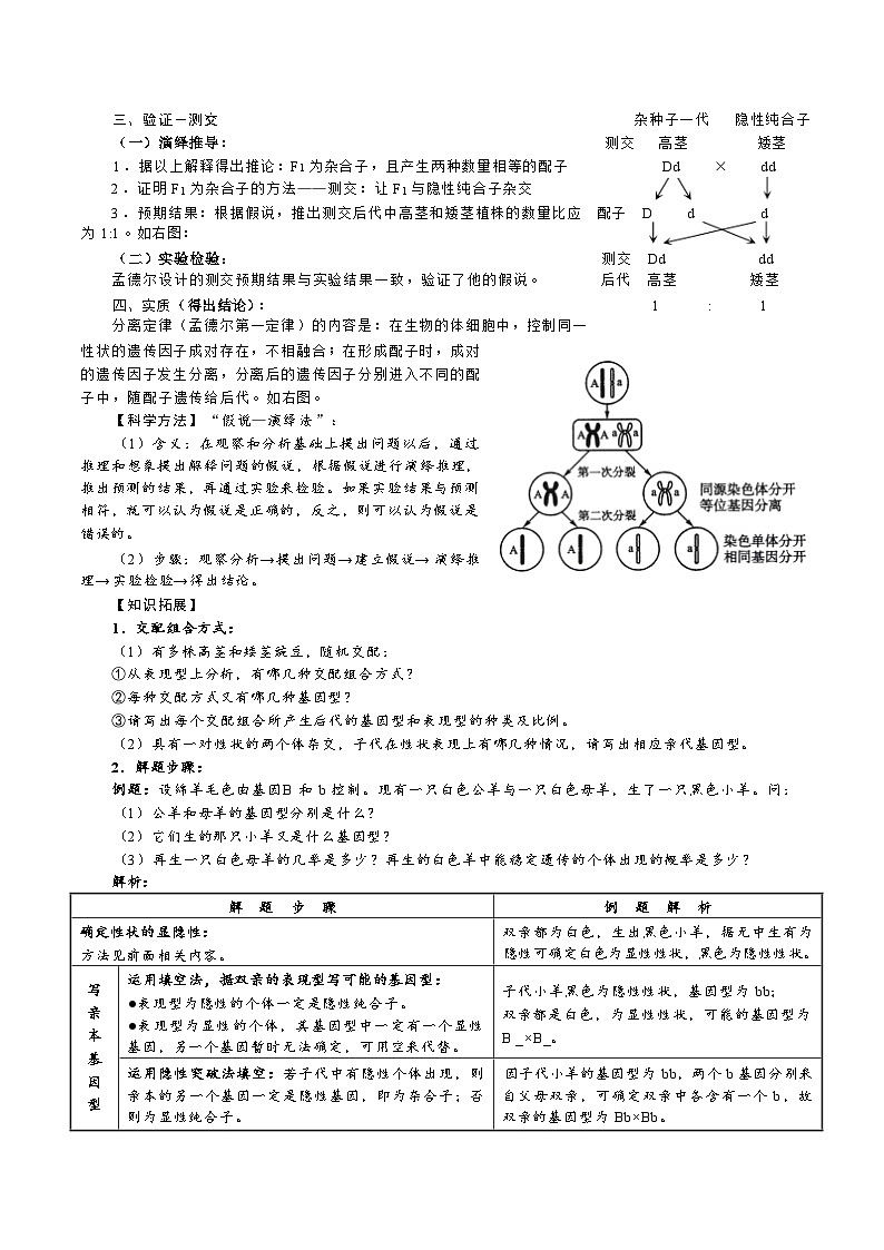 2026年高考生物一轮复习：人教版必修2 遗传与进化 知识点考点提纲 讲义第3页
