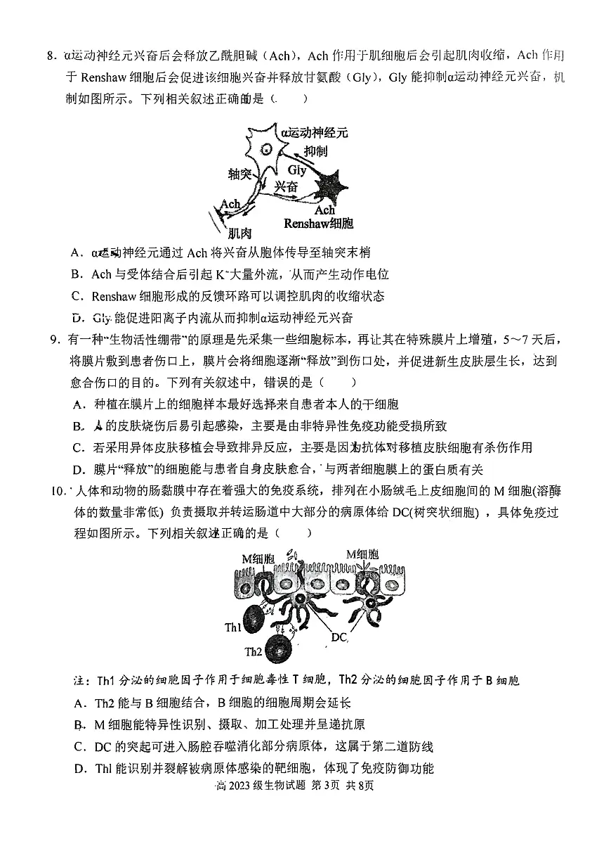 四川省南充高级中学2024-2025学年高二上学期12月月考生物试题第3页