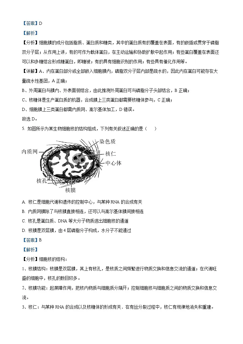 浙江省宁波市九校2023-2024学年高一1月期末联考生物试题 含解析第3页