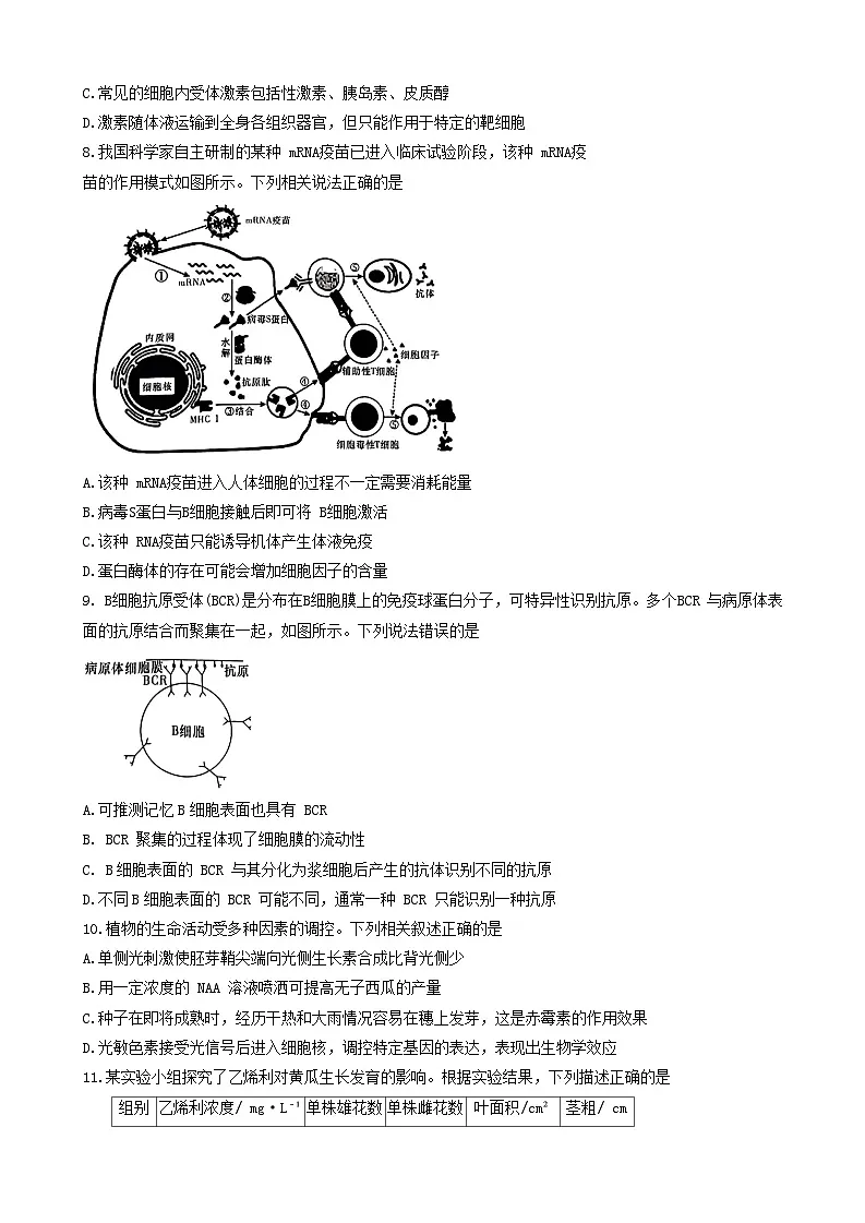 湖南省名校联盟2024-2025学年高二上学期12月检测生物试题第3页