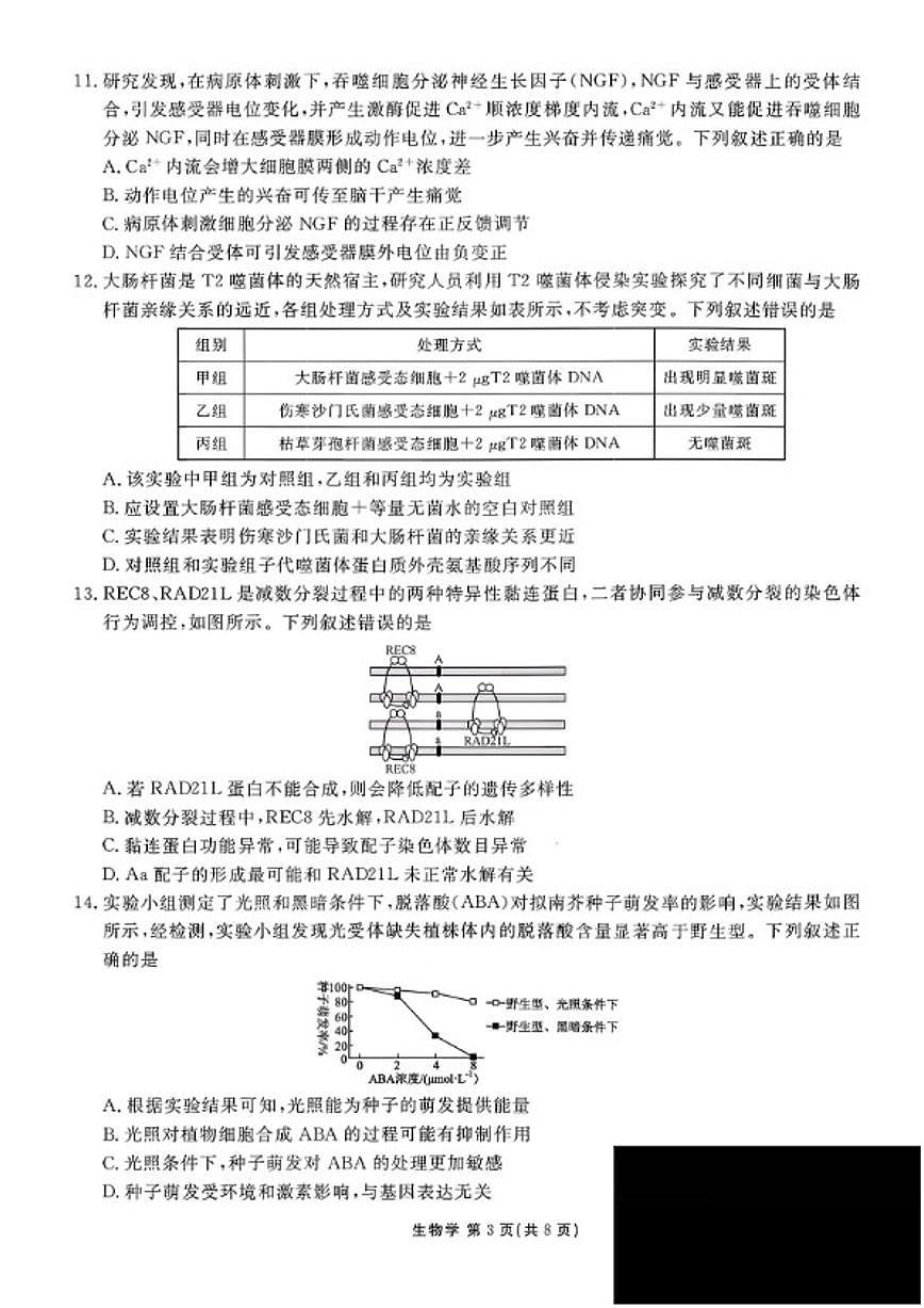 2026届河北省衡水模拟卷(衡水金卷)高三上1月份适应性测试生物试卷（含解析）第3页