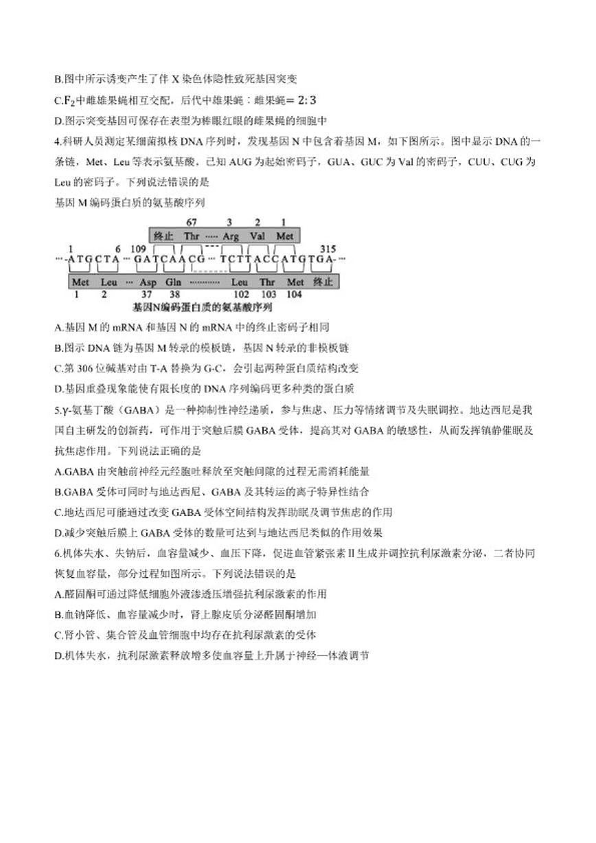 2025-2026学年山东省德州市上学期高三期末生物试卷（含答案）第2页
