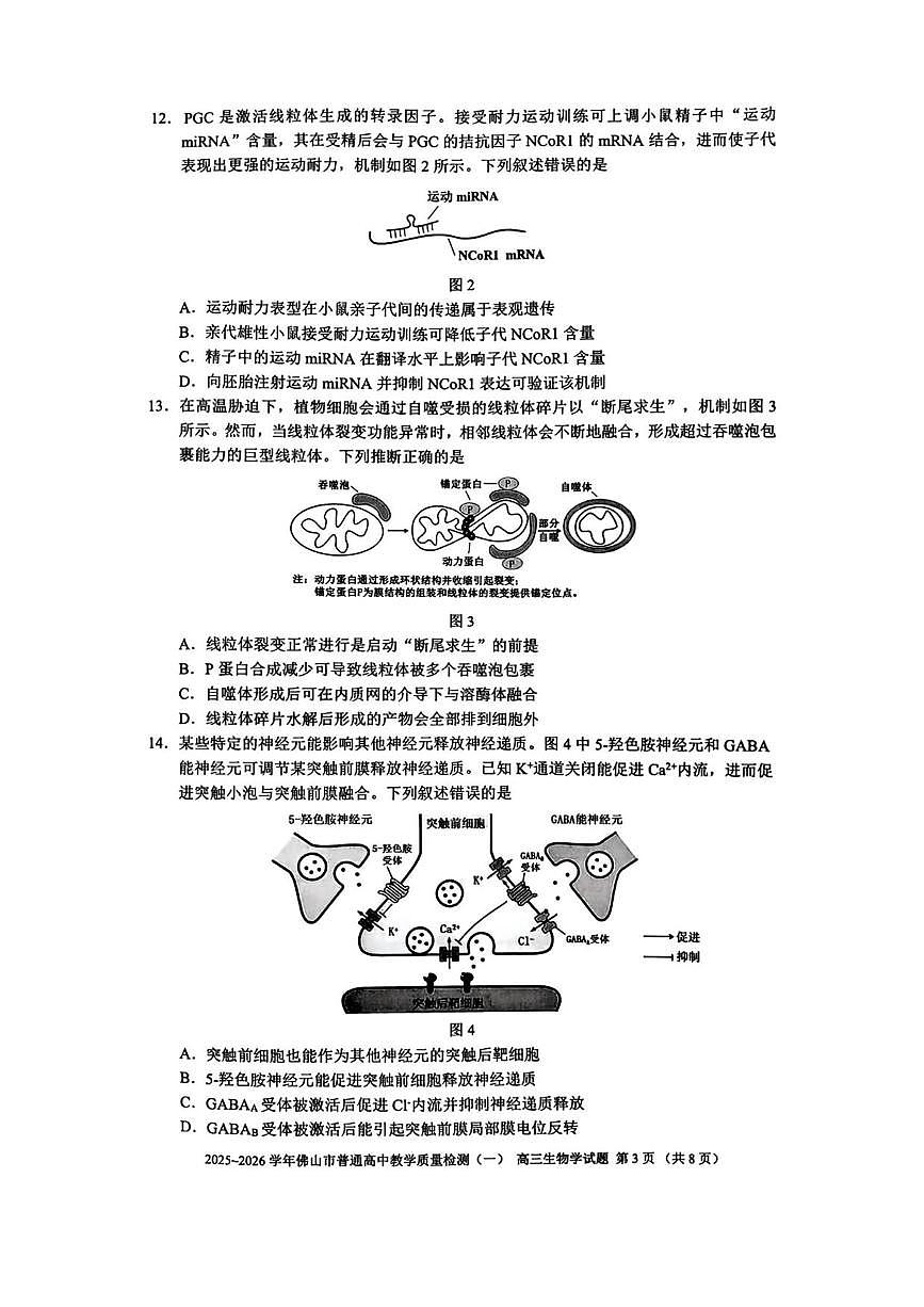 生物丨广东省佛山市2026届高三上学期1月教学质量检测(一)试卷及答案第3页