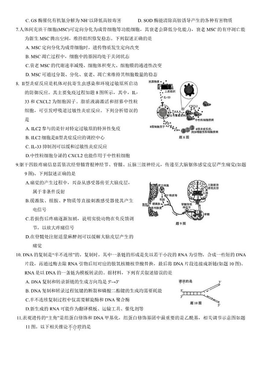 2026届重庆市高三上第一次联合诊断检测生物学试卷（含答案）第2页