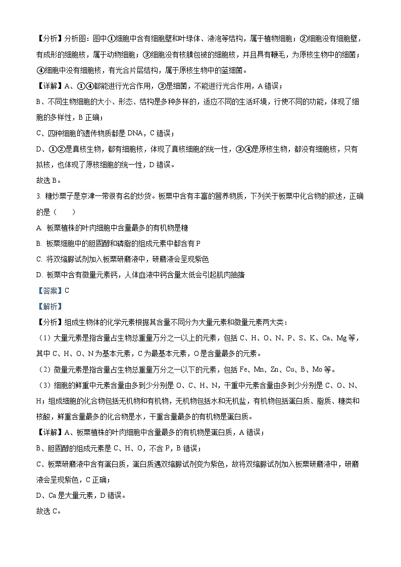重庆市长寿区八校联考2023-2024学年高一1月期末生物试题 含解析第2页